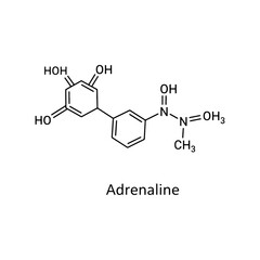 Adrenaline chemical structure, an essential neurotransmitter and hormone diagram, detailed molecular representation