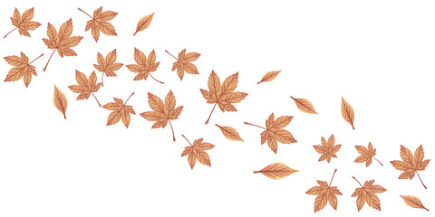 Scattered autumn maple leaves falling in a diagonal stream