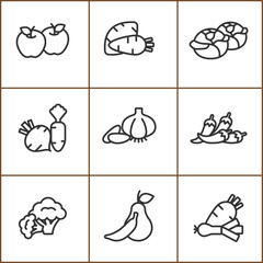 Assortment of Fresh Vegetables and Fruits in Outline Vector Style