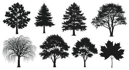 Fototapeta premium Black tree silhouettes vector set, detailed forest and garden trees collection, maple leaf and pine tree outline shapes for landscape design isolated on White Background