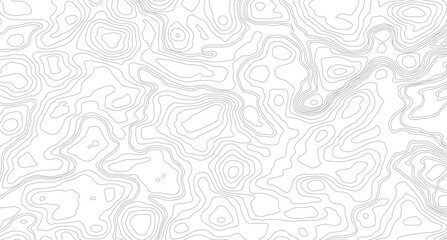 topographic wavy pattern design. Luxury black abstract line art, white topography topology vector white background.
