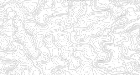topographic wavy pattern design. Luxury black abstract line art, white topography topology vector white background.

