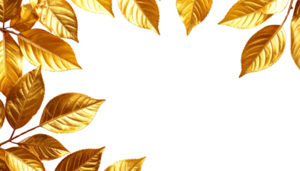 Yellow leaf border on white background