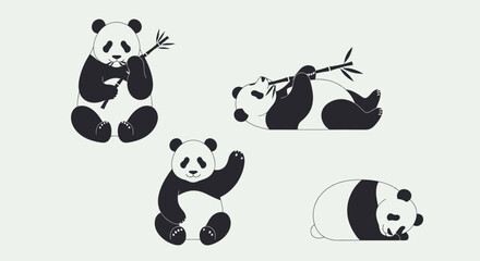 Panda bears in various poses with transparent background