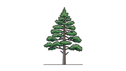 Simple illustration of a single evergreen pine tree, an isolated conifer on a white background