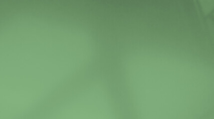 Background green abstract line shadow overlay on cement wall floor beige mockup product cosmetic summer tropical nature presentation frame template eco backdrop environment