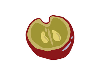 Sliced Red Grape Fruit Illustration

