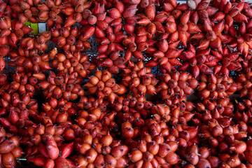 Full frame shot of ripe Zalacca fruit for sale in the market stall
