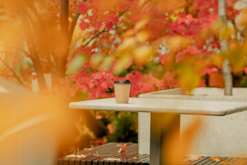 Paper coffee cup on a concrete table surrounded by colorful autumn leaves, cozy fall atmosphere.