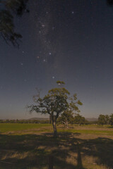 Starry night, the dark skies of South Australia