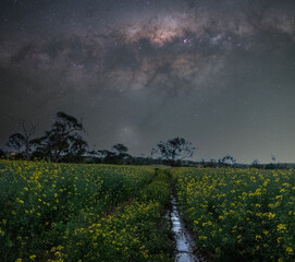 The southern hemisphere Milky Way - nothing like it!