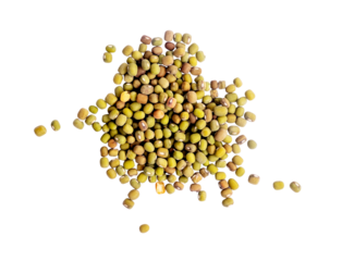 mung beans isolated on white