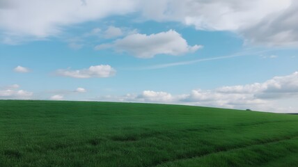 Fototapeta premium Vibrant green field under a serene blue sky dotted with fluffy white clouds evokes a feeling of peace and tranquility, ideal for nature lovers and landscape designs