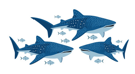 Obraz premium Whale shark illustration of three whale sharks and small fish, marine life concept, on a white background, flat vector design, wildlife theme.