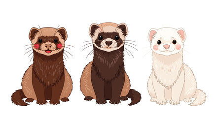 Three adorable cartoon ferrets in a row, each with a unique coat color, posing on a white background, perfect for pet-related designs.