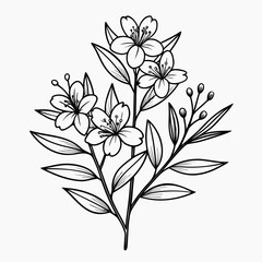 Delicate black and white floral illustration with blossoms and leaves