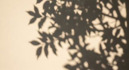 Abstract leaf shadows on sunlit wall natural background.