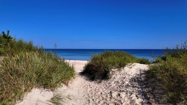 Sandy beach path through dunes and greenery leading to a calm blue ocean under a clear sky, capturing the serenity and beauty of a peaceful coastal landscape.