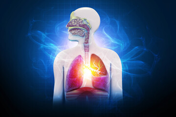 Chronic obstructive pulmonary disease,respiratory diseases, 3d illustration