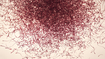 Persian saffron thread background