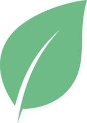 Simple green leaf illustration representing nature and growth
