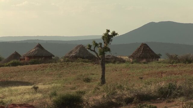 Traditional round thatched huts of a Borana village sit on a grassy ridge of Ethiopia&rsquo;s Borana Plateau, with a lone tree and layered blue hills in soft evening light.