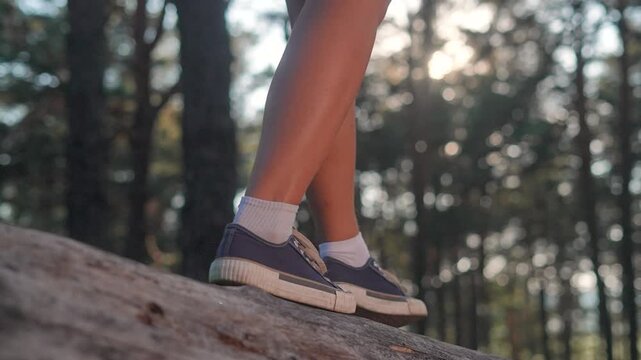 Outdoor child tests balance on wide tree in forest. Sneakers bend slightly. Shoes dirty from walking. Socks rise above edge. Legs show effort. Child enjoys walking challenge among forest trees.
