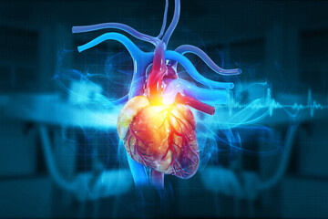 Human heart on ecg background. 3d illustration