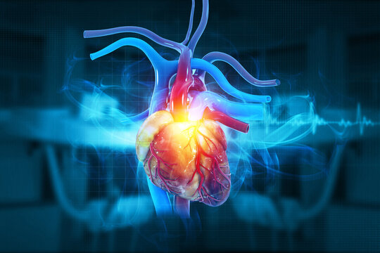 Human heart on ecg background. 3d illustration