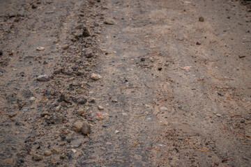 Macro view of a wet, gritty dirt road featuring compacted sand, scattered stones, and traces of tire marks after rainfall.