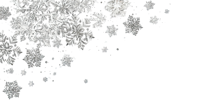 Overlay of delicate, intricate snowflakes against a stark black background