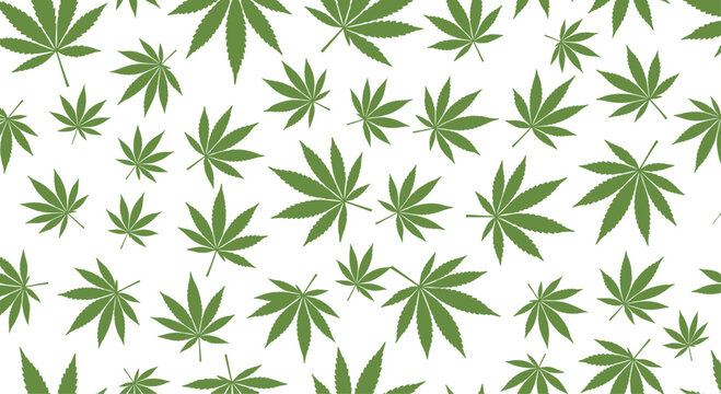 A seamless pattern features various green cannabis leaves scattered across a clean white background, creating a vibrant and distinct botanical design.