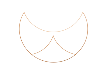 Abstract geometric design with curved, intersecting lines on black