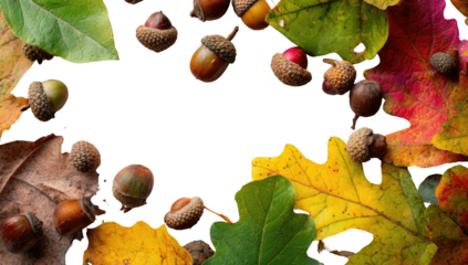Autumn frame of acorns and colorful oak leaves on black