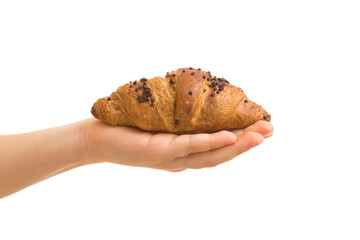 Little child opened palm holding croissant with dark chocolate sprinkles isolated on white background. Sweet snack. Closeup. Front view.