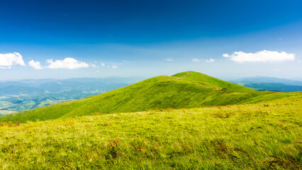 alpine mountain landscape with green meadows in summer. scenic view to distant valley on a sunny day. beautiful scenery with lush grass on rolling hills under blue sky. carpathian alps of ukraine