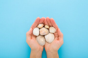 Young adult woman opened palms holding and showing beautiful white sea shells on light blue table...