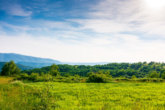 beautiful mountain landscape with green hills in summer. rural field on a sunny day. rolling countryside scenery of ukraine with blue sky. grassy pasture of alpine region of transcarpathia