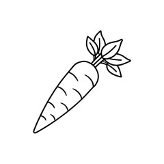 Outline drawing of a carrot on transparent background