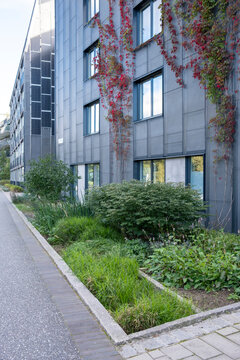 Eco urban architecture with solar panels and vegetation integrated into sustainable residential landscape in Norradjurgardsstaden, Stockholm, showing modern design and renewable energy focus