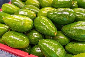 Seasonal Florida Avocados on Market Table