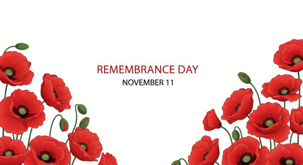 Remembrance Day illustration with red poppies on a white background.