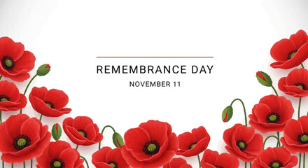Fototapeta premium Remembrance Day image with red poppies and the date November 11 on a white background.