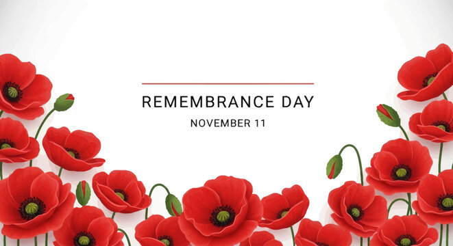 Remembrance Day image with red poppies and the date November 11 on a white background.