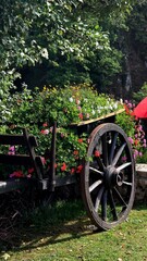 old wagon wheel