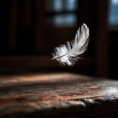 Floating Feather