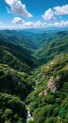 Naklejka premium Lush Green Valley With A River Flowing Through Dense Forested Slopes Under A Blue Sky With Fluffy White Clouds