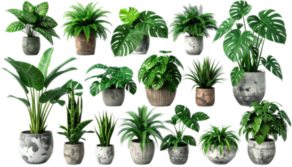 Fifteen potted houseplants with varying leaf shapes and planter textures