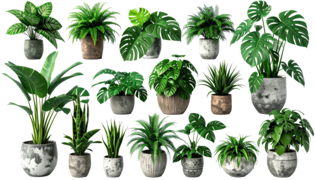 Fifteen potted houseplants with varying leaf shapes and planter textures