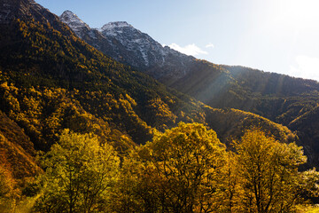 Fototapeta premium beautiful autumn in the alps